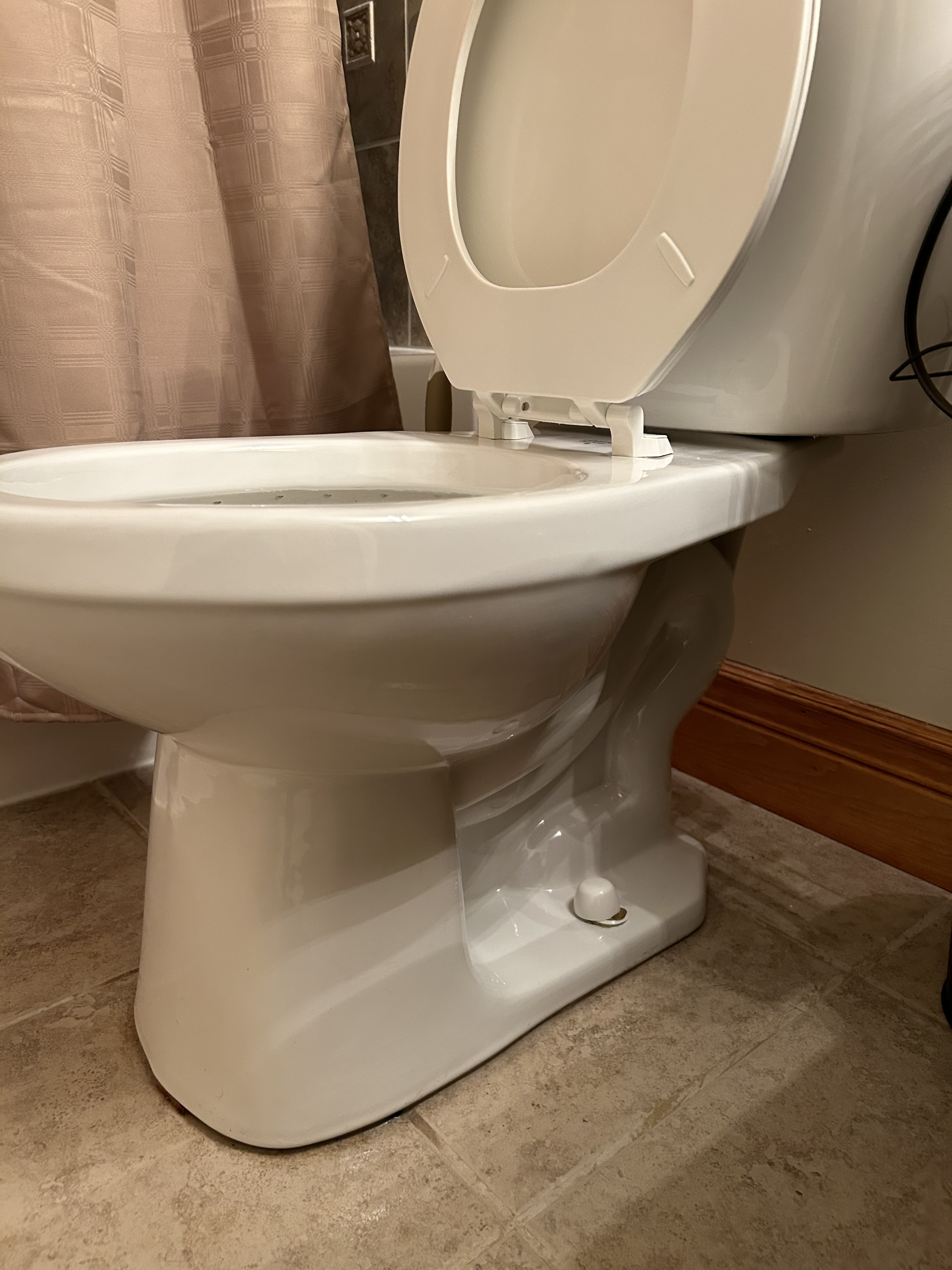 Sanitized bathroom fixture