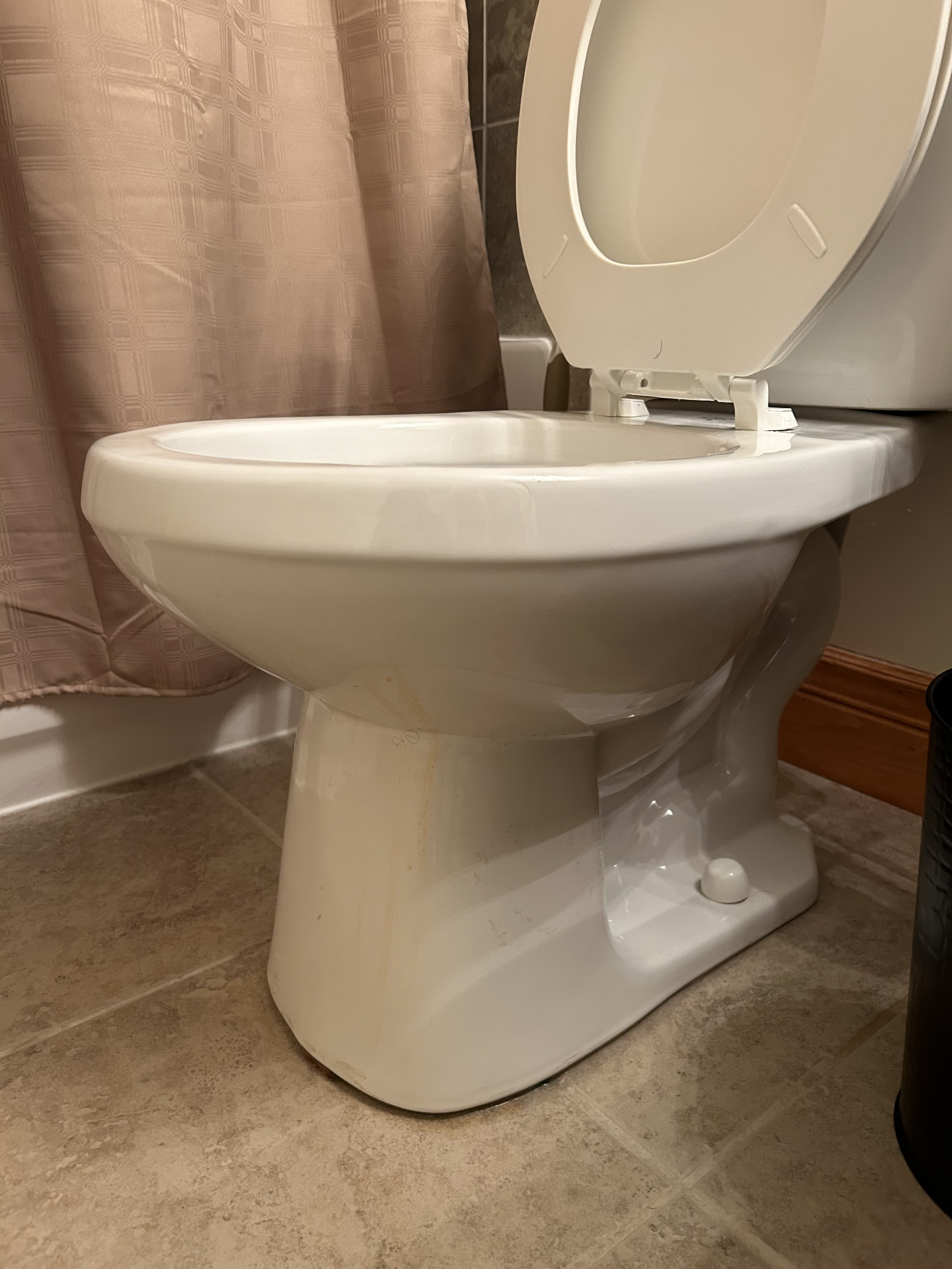 Detailed toilet cleaning close-up